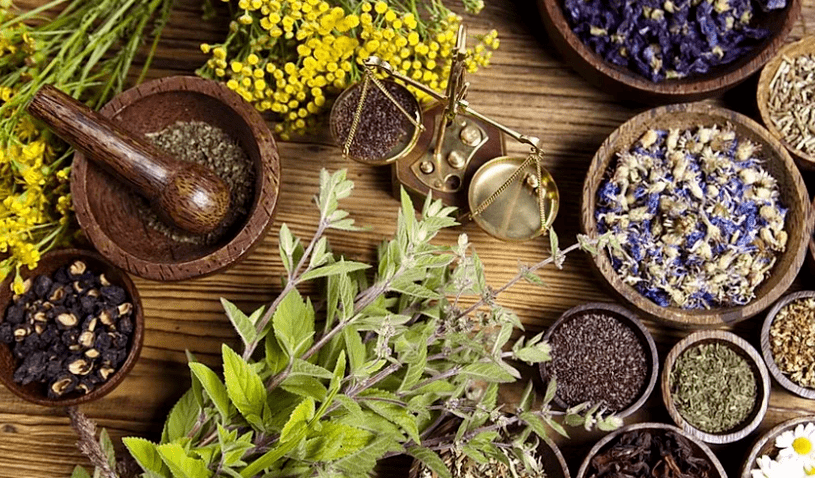 Treat parasites with folk remedies