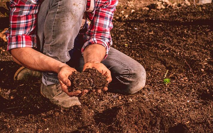 Parasite infection through soil