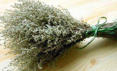 WORMWOOD as a means to fight parasites