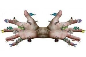 parasitic bacteria on human hands