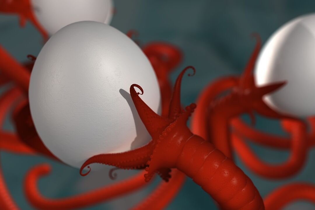 parasitic worms in humans